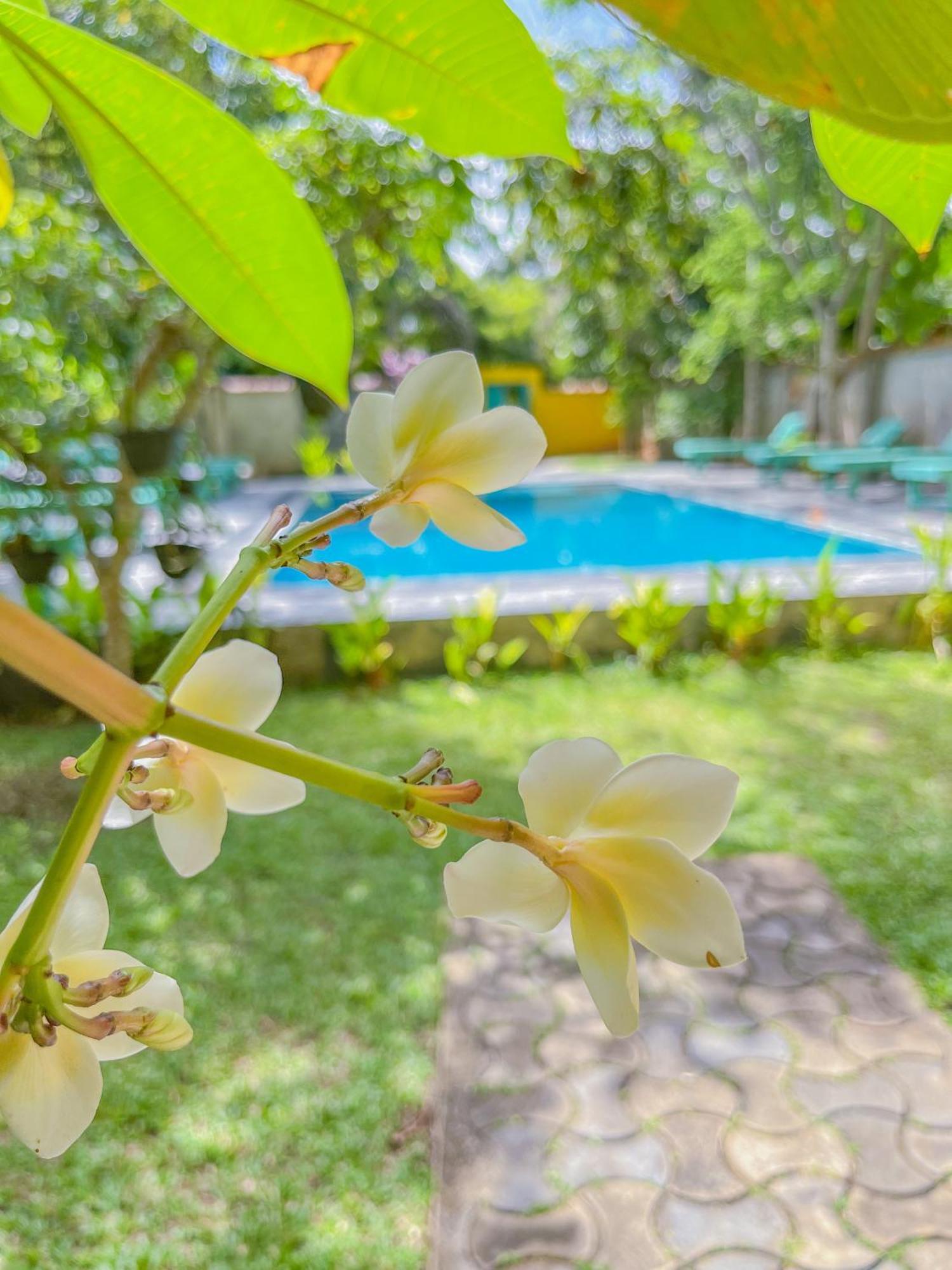Отель Easy Living Хиккадува Экстерьер фото